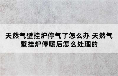 天然气壁挂炉停气了怎么办 天然气壁挂炉停暖后怎么处理的